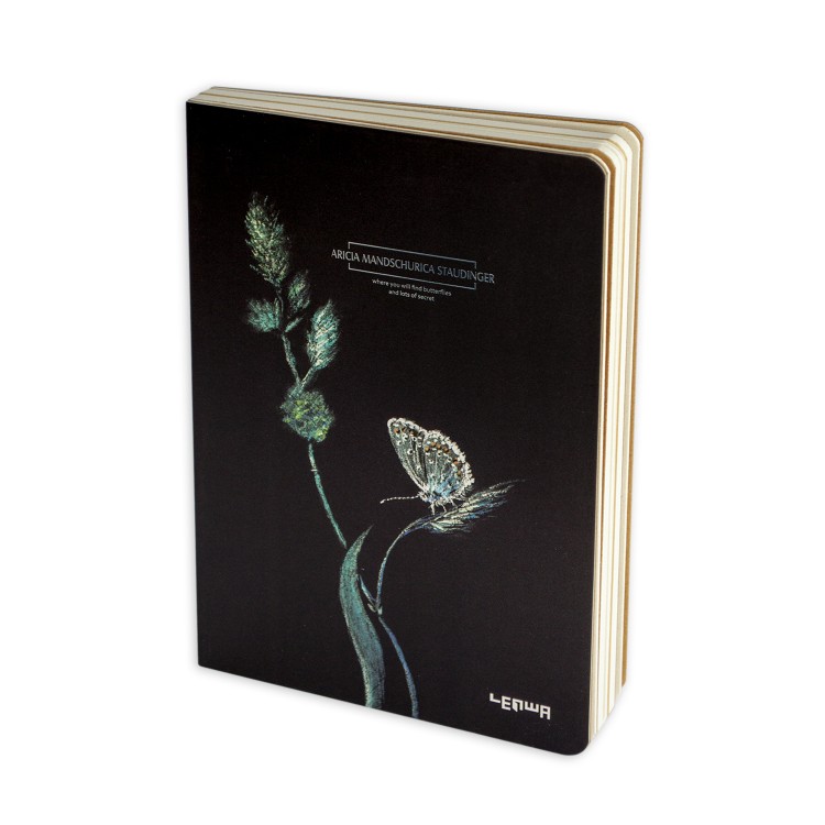 Lenwa sketchbook Butterfly Aricia mandschurica staudinger 1-750x750