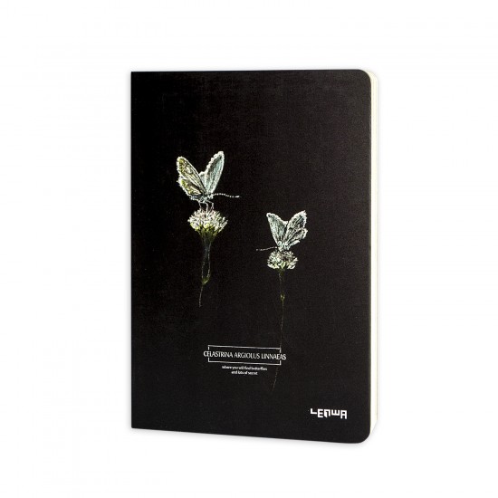Lenwa sketchbook Butterfly Celastrina argiolus linnaeas 1-550x550